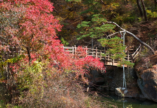  5-Nov-14Scenic